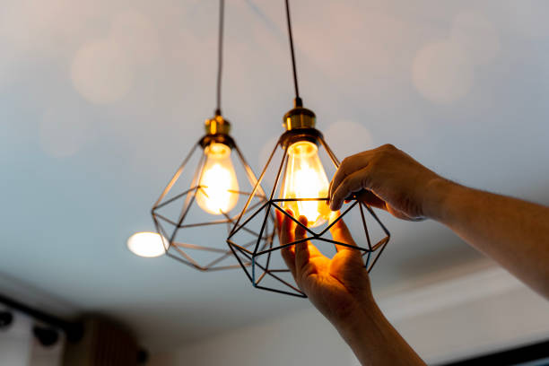 Best Electrician for Home Renovation  in East Palatka, FL